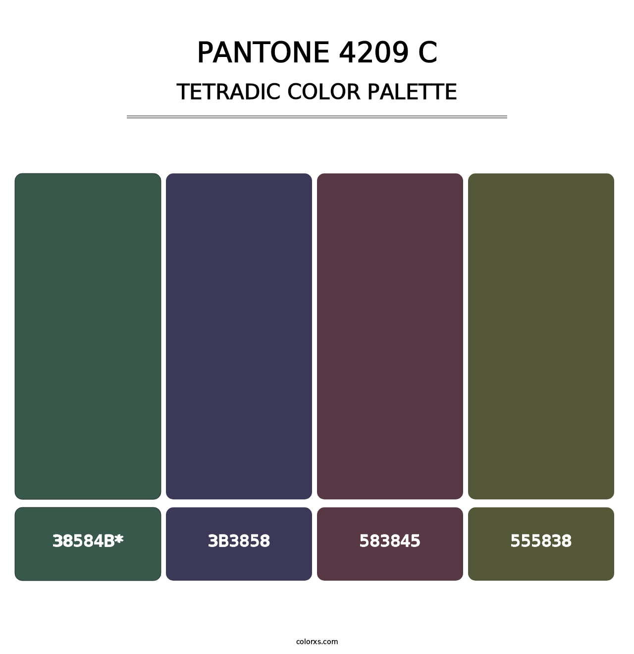 PANTONE 4209 C - Tetradic Color Palette