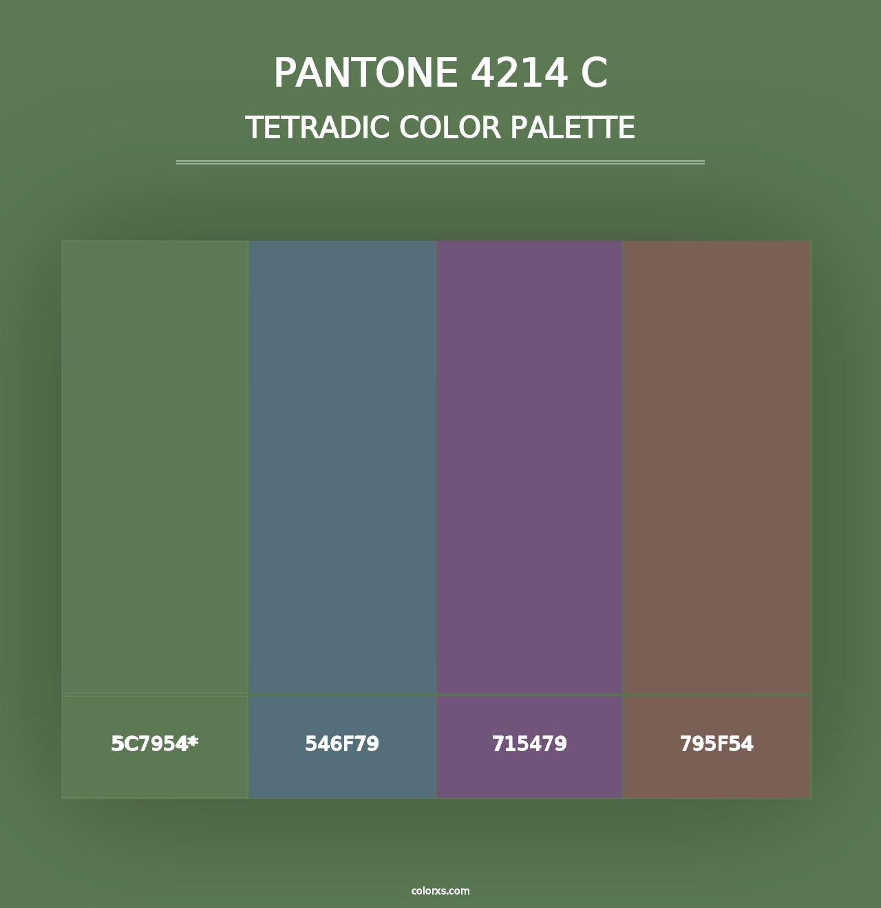 PANTONE 4214 C - Tetradic Color Palette