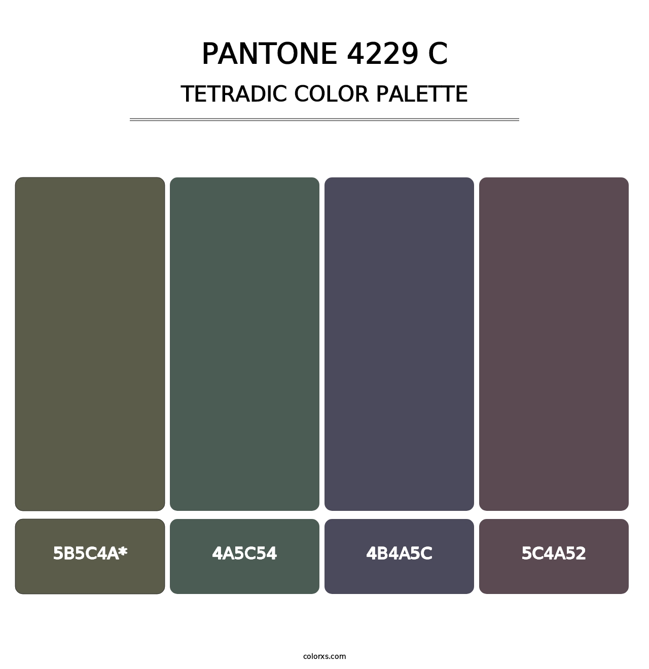 PANTONE 4229 C - Tetradic Color Palette