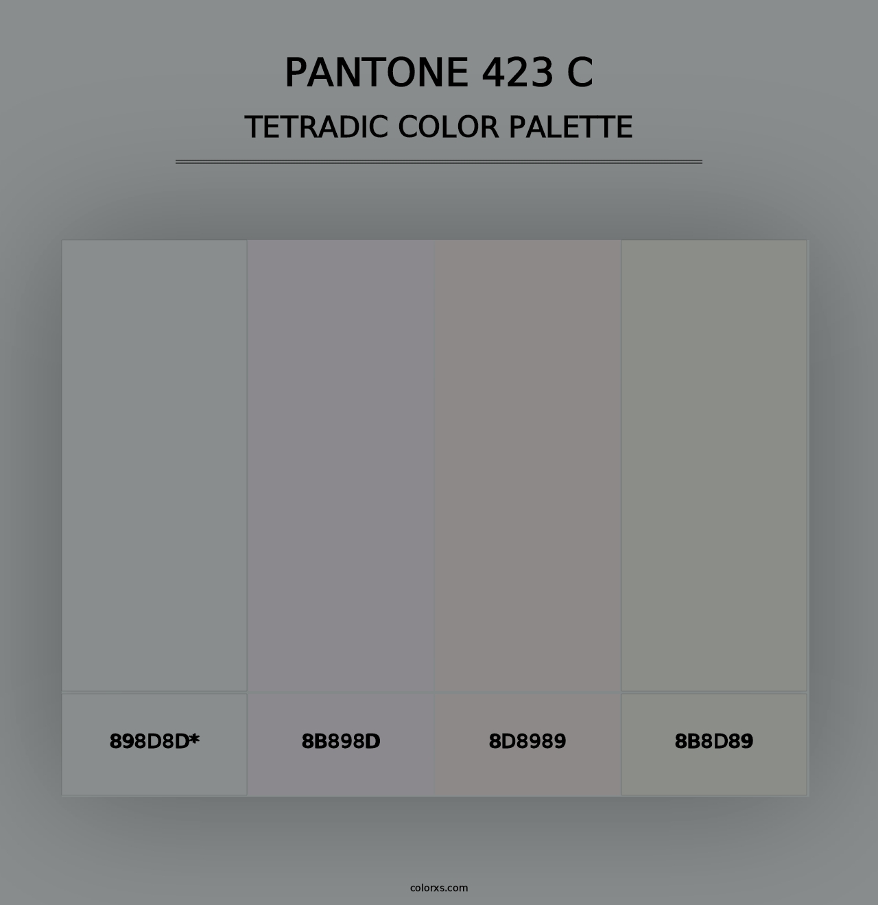 PANTONE 423 C - Tetradic Color Palette