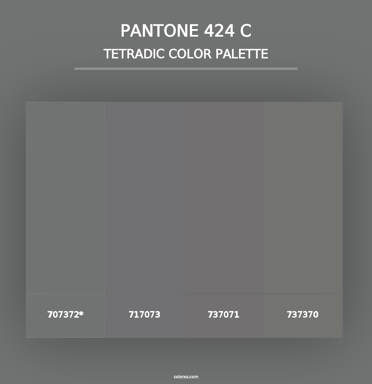 PANTONE 424 C - Tetradic Color Palette