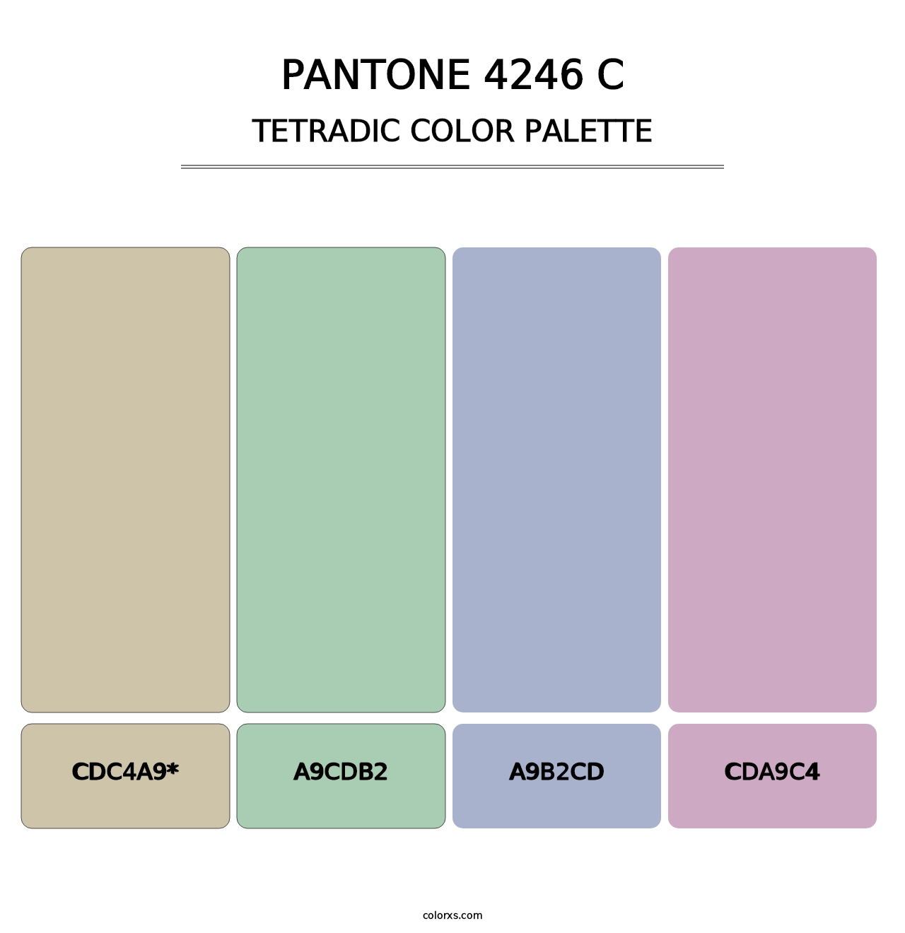 PANTONE 4246 C - Tetradic Color Palette