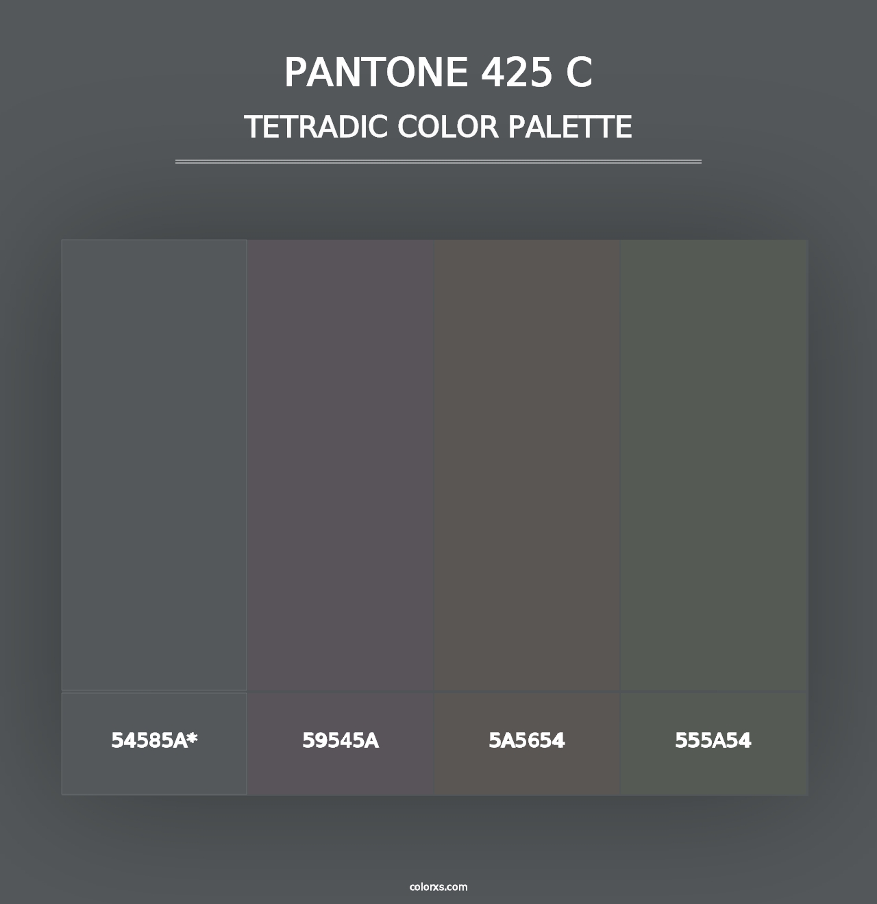 PANTONE 425 C - Tetradic Color Palette