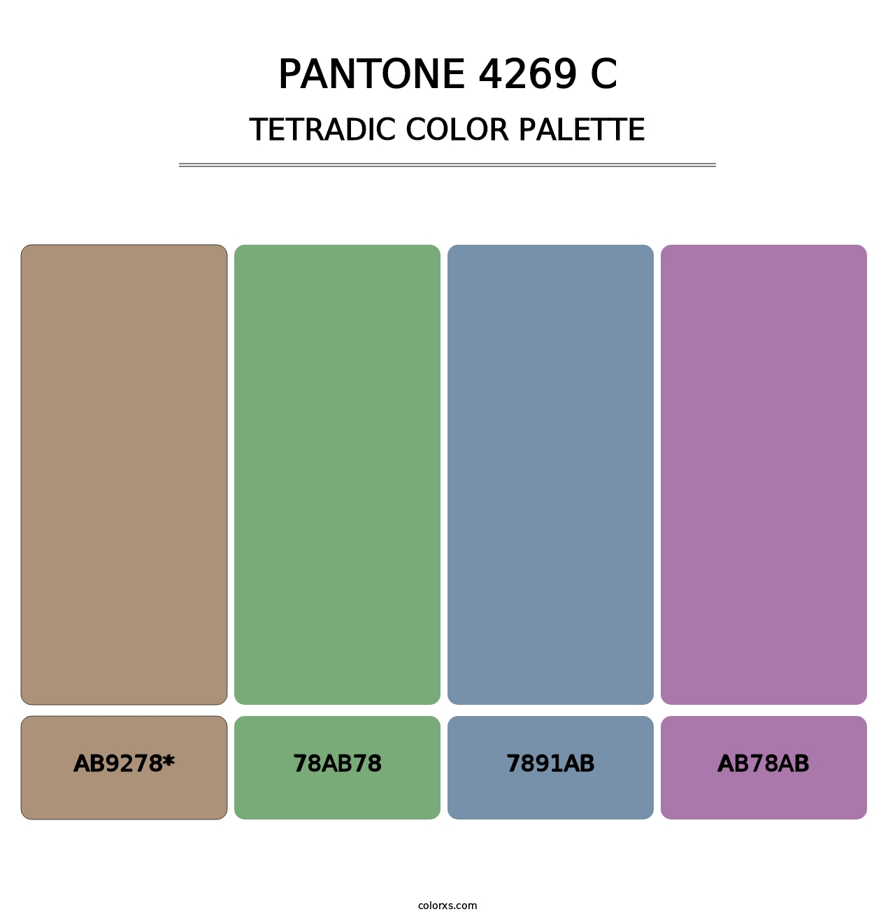 PANTONE 4269 C - Tetradic Color Palette