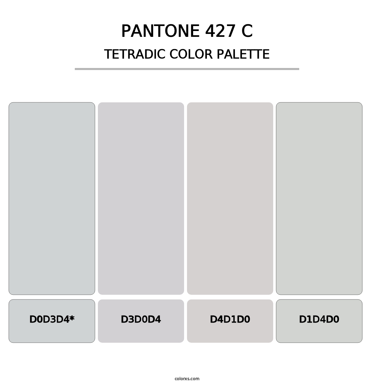 PANTONE 427 C - Tetradic Color Palette