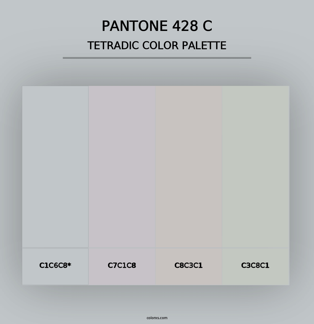 PANTONE 428 C - Tetradic Color Palette