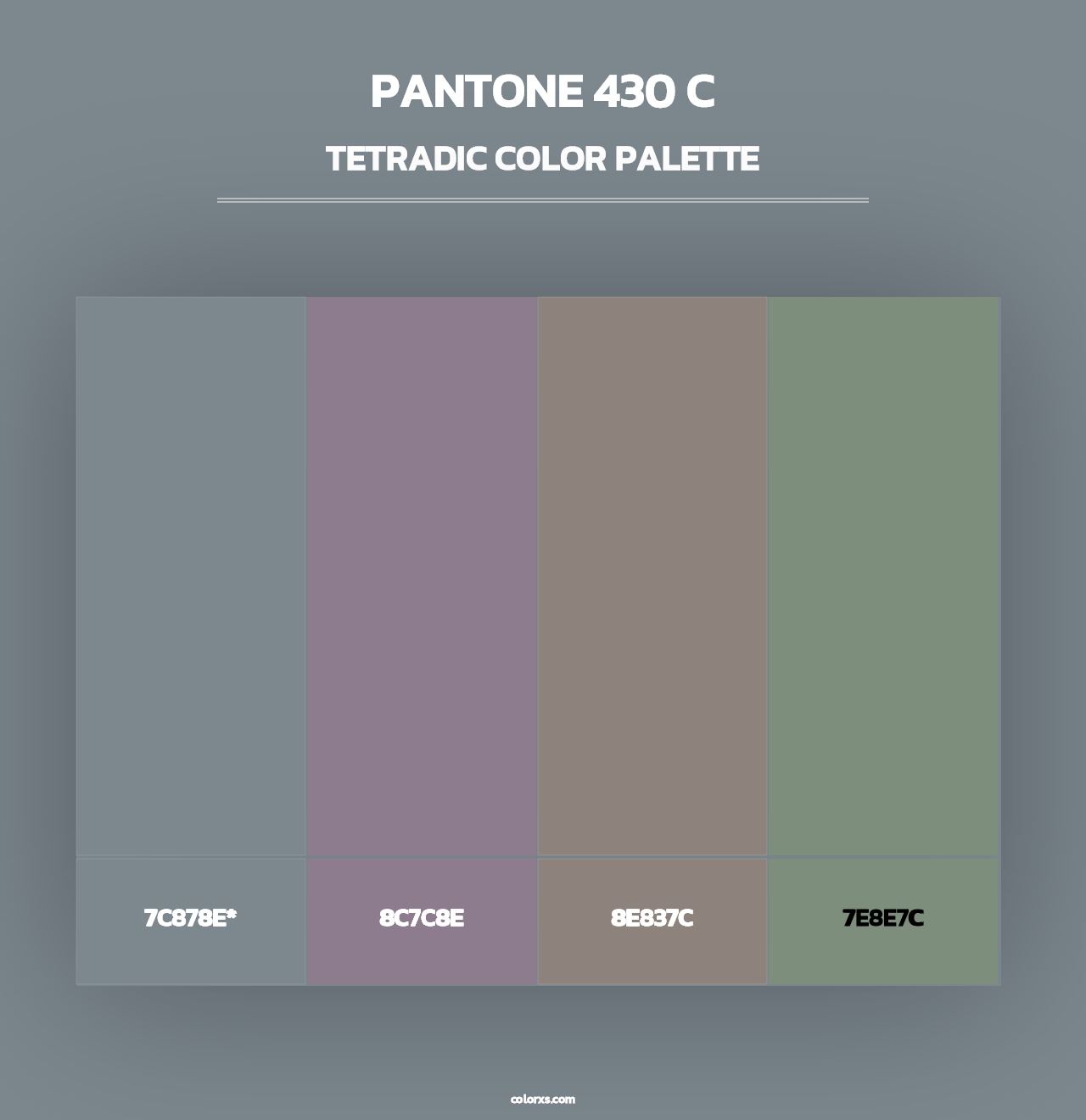 PANTONE 430 C - Tetradic Color Palette