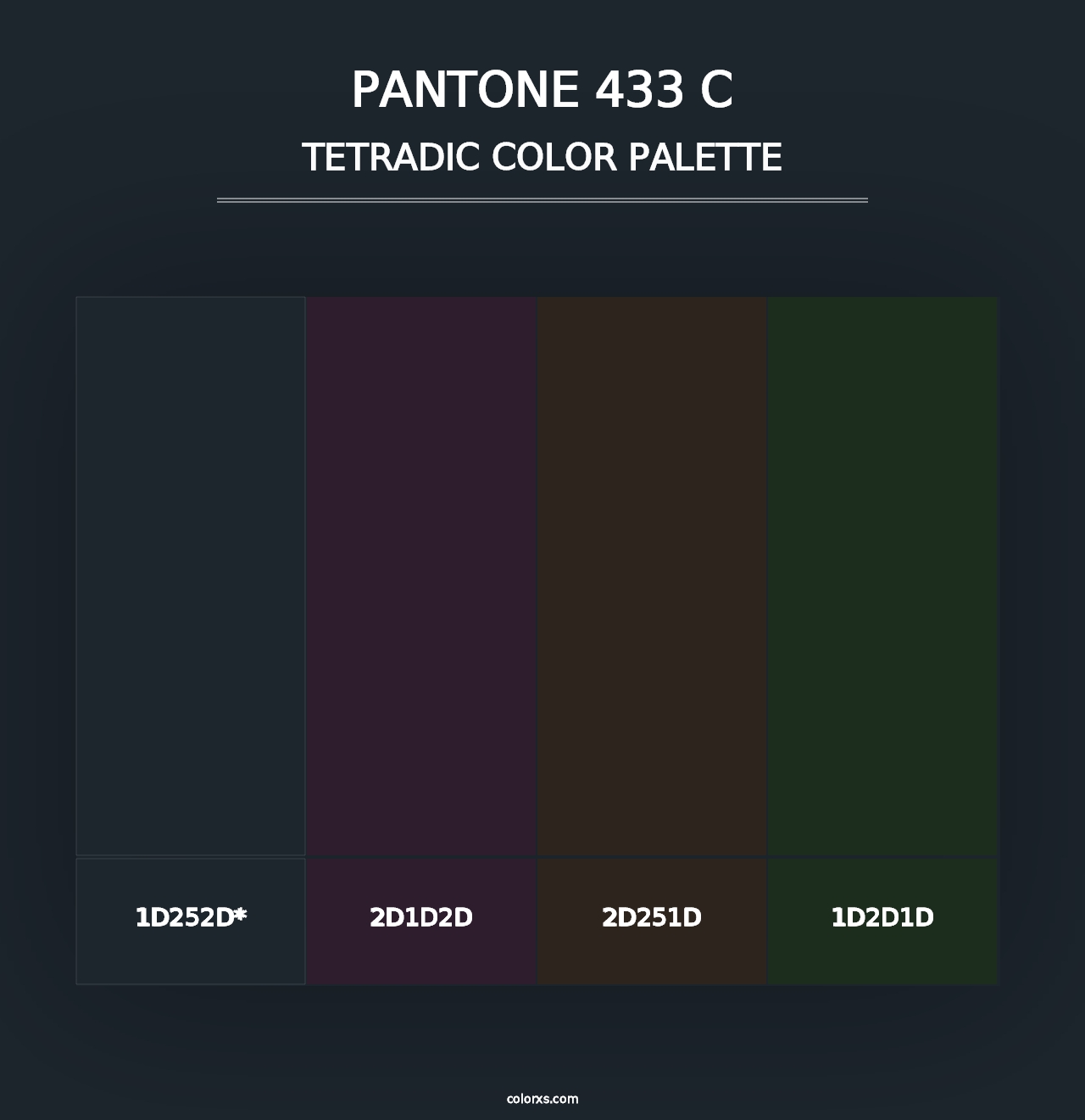 PANTONE 433 C - Tetradic Color Palette