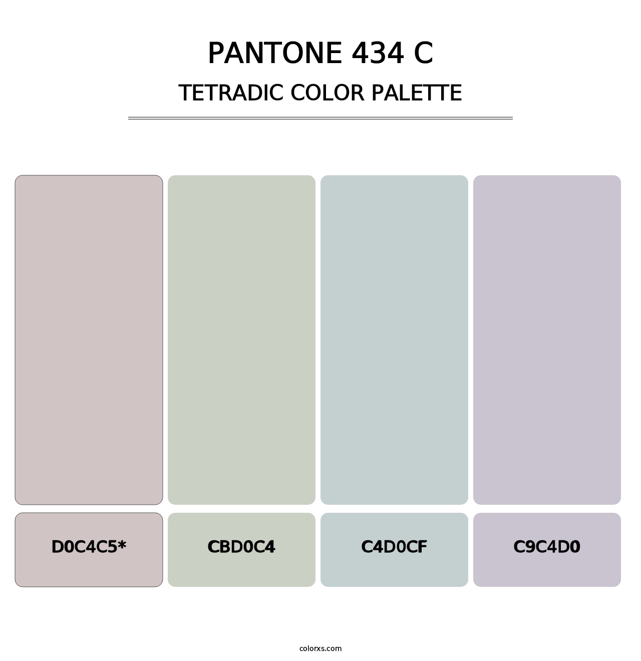 PANTONE 434 C - Tetradic Color Palette