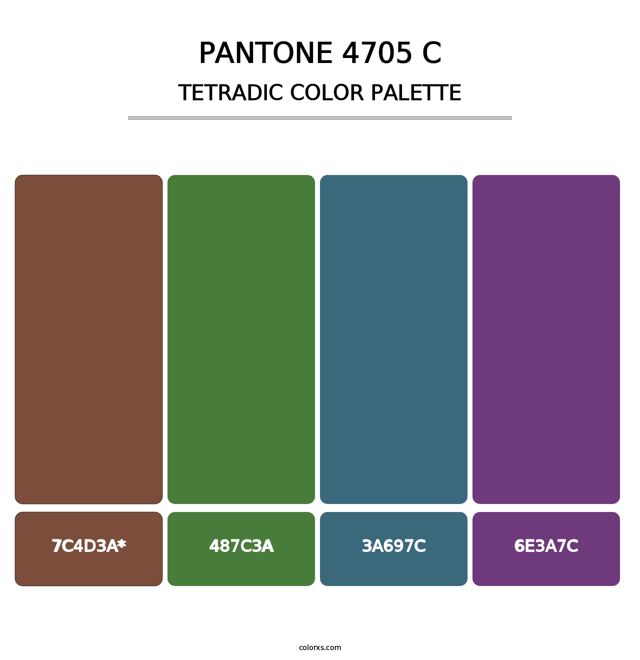 PANTONE 4705 C - Tetradic Color Palette