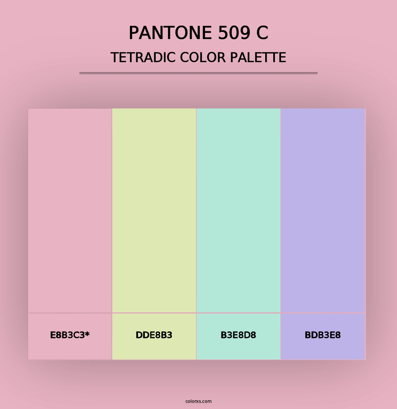 PANTONE 509 C - Tetradic Color Palette