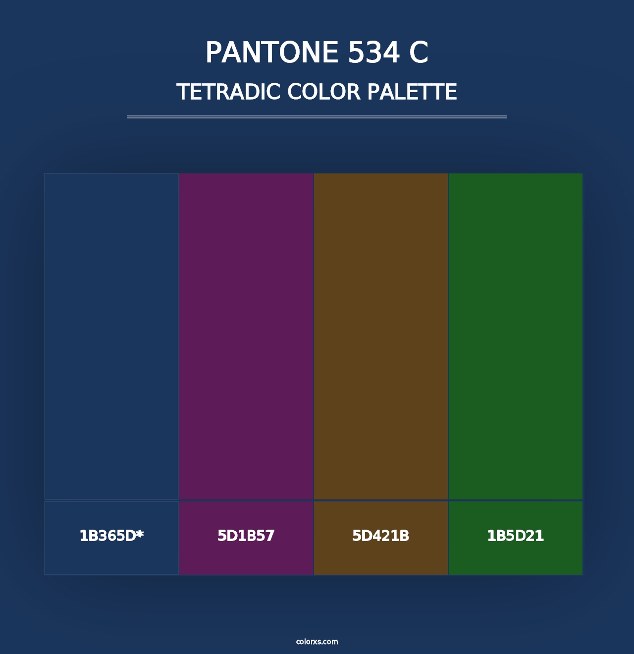 PANTONE 534 C - Tetradic Color Palette