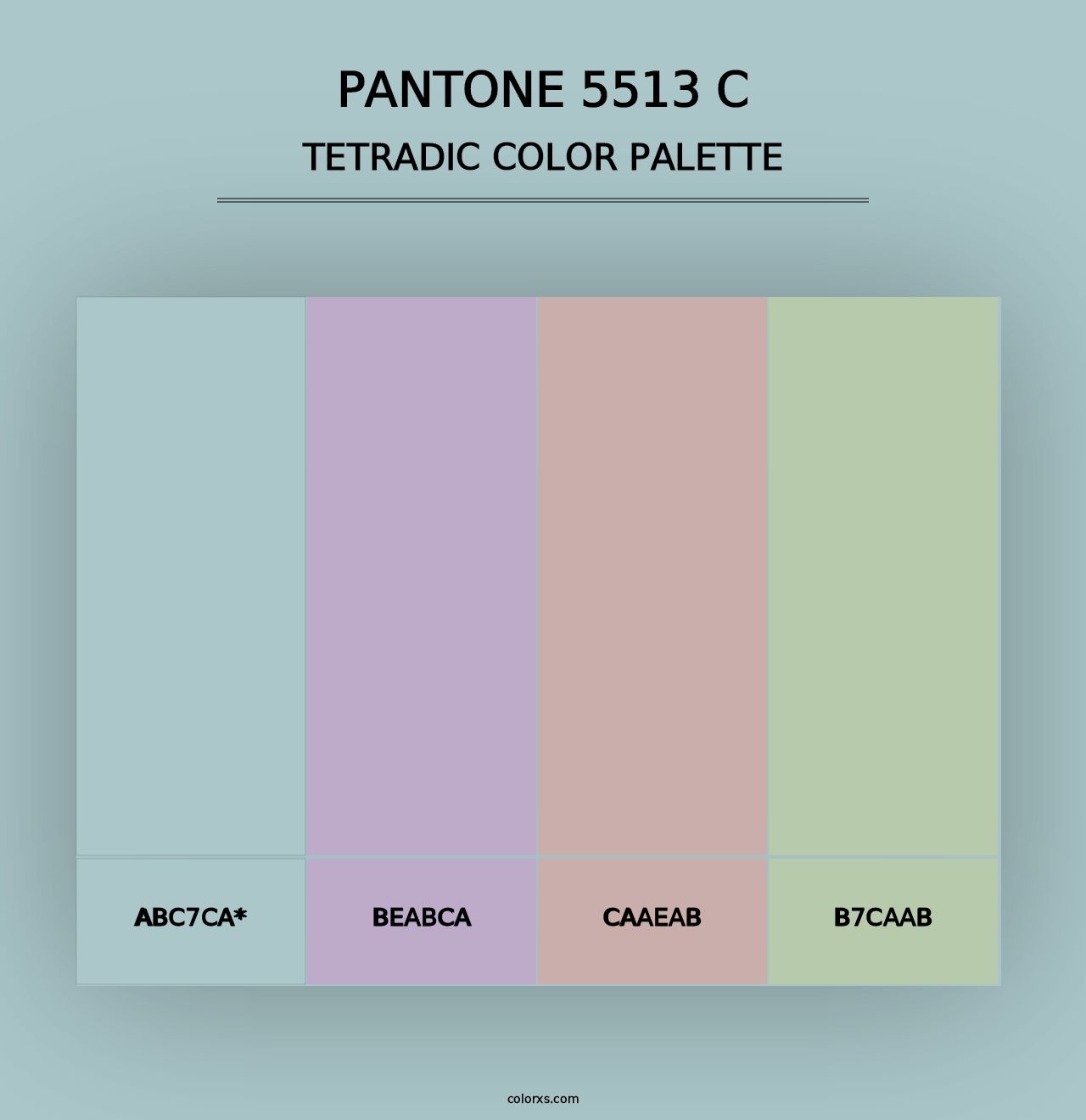 PANTONE 5513 C - Tetradic Color Palette