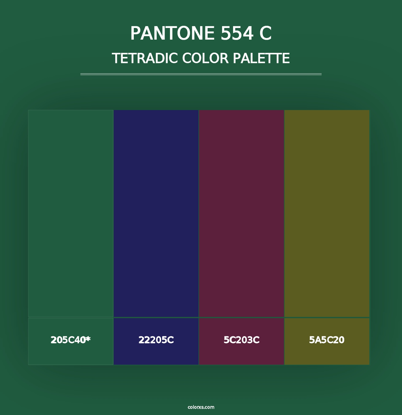 PANTONE 554 C - Tetradic Color Palette