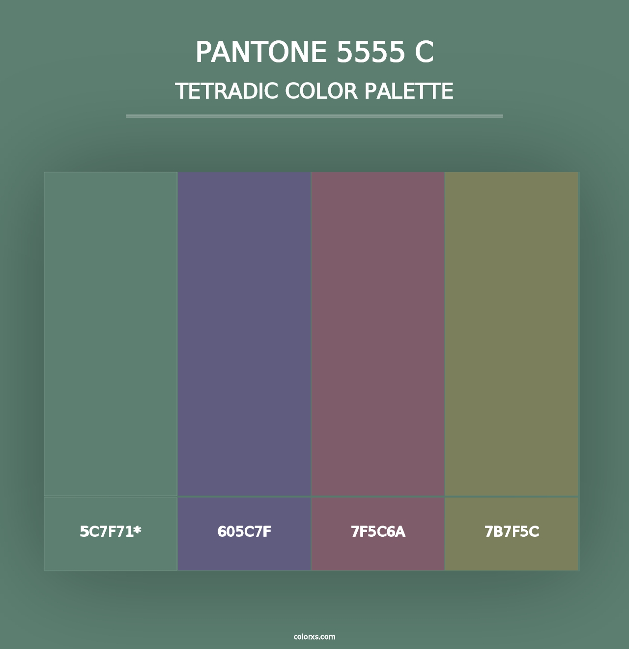 PANTONE 5555 C - Tetradic Color Palette