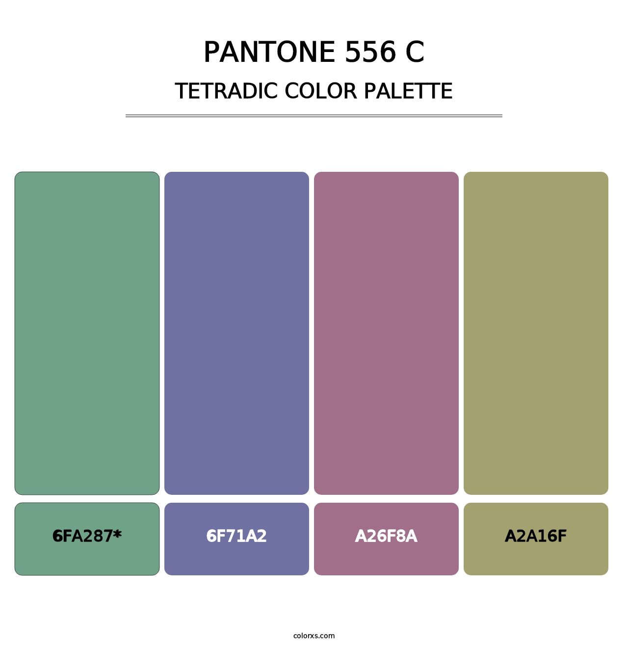 PANTONE 556 C - Tetradic Color Palette