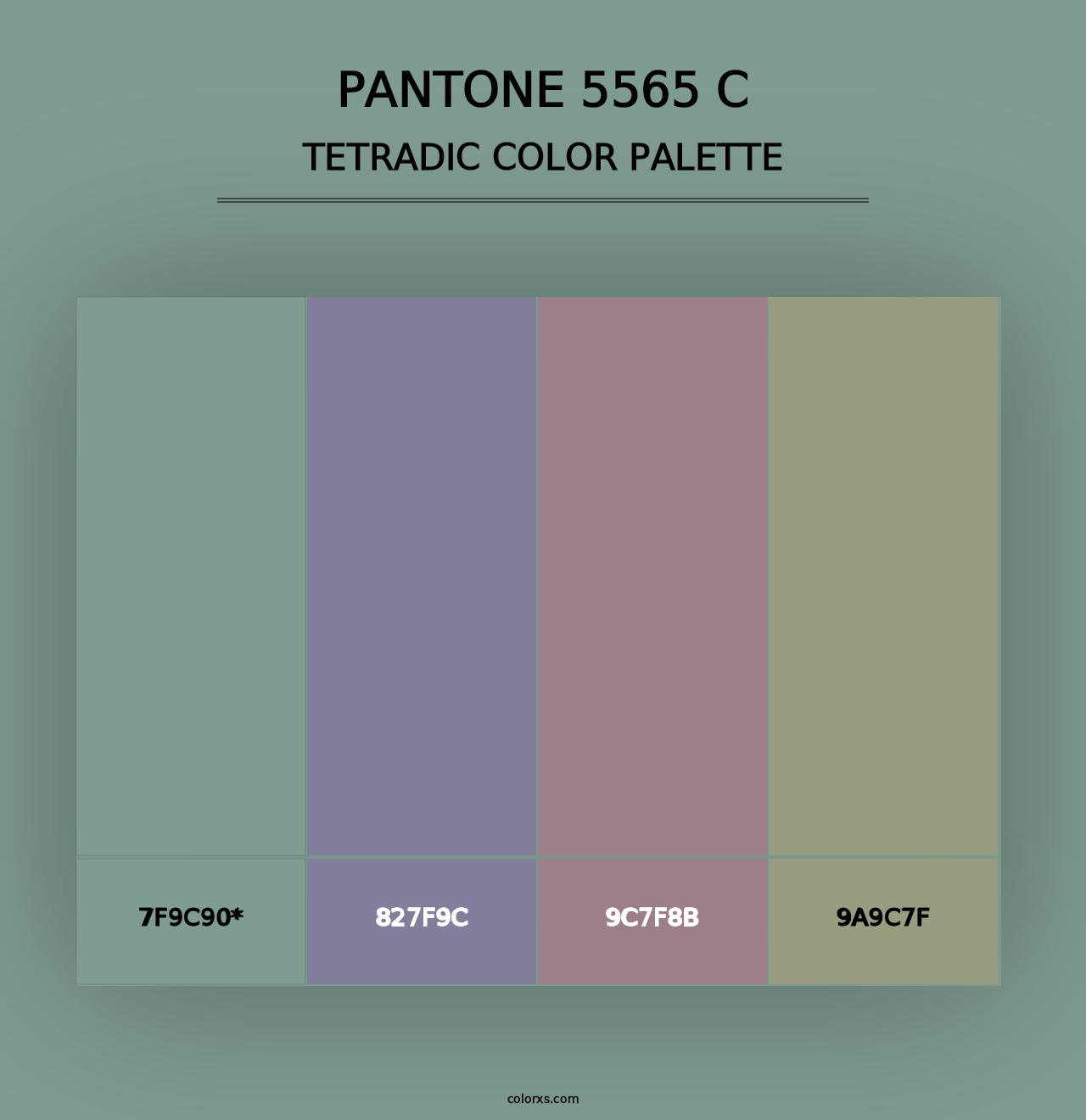 PANTONE 5565 C - Tetradic Color Palette