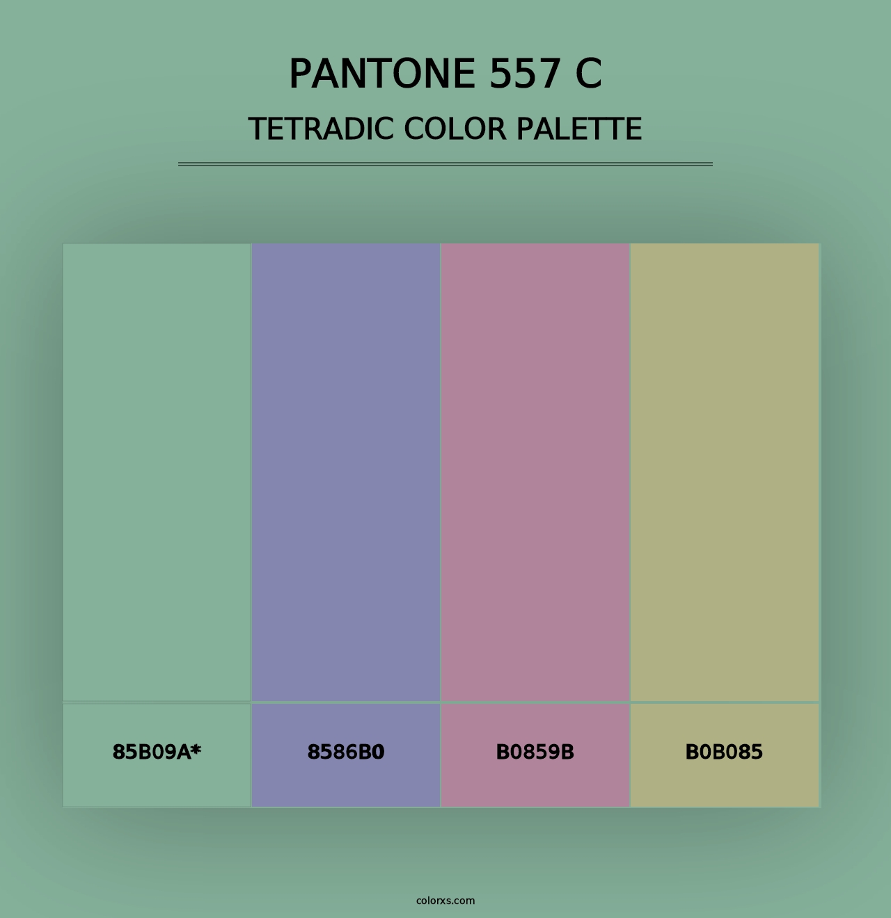 PANTONE 557 C - Tetradic Color Palette