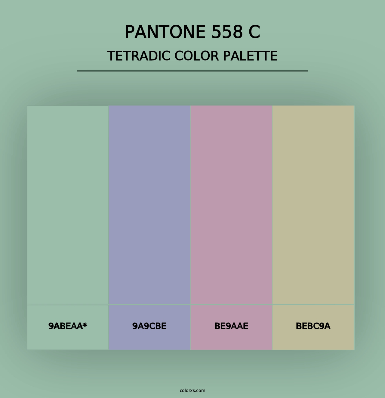 PANTONE 558 C - Tetradic Color Palette