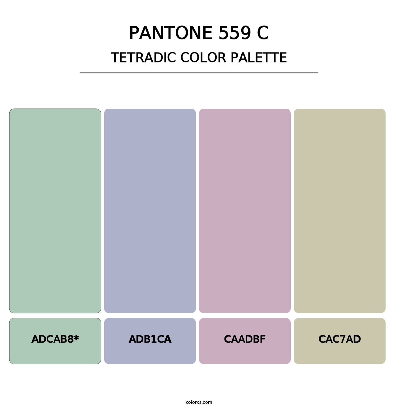 PANTONE 559 C - Tetradic Color Palette