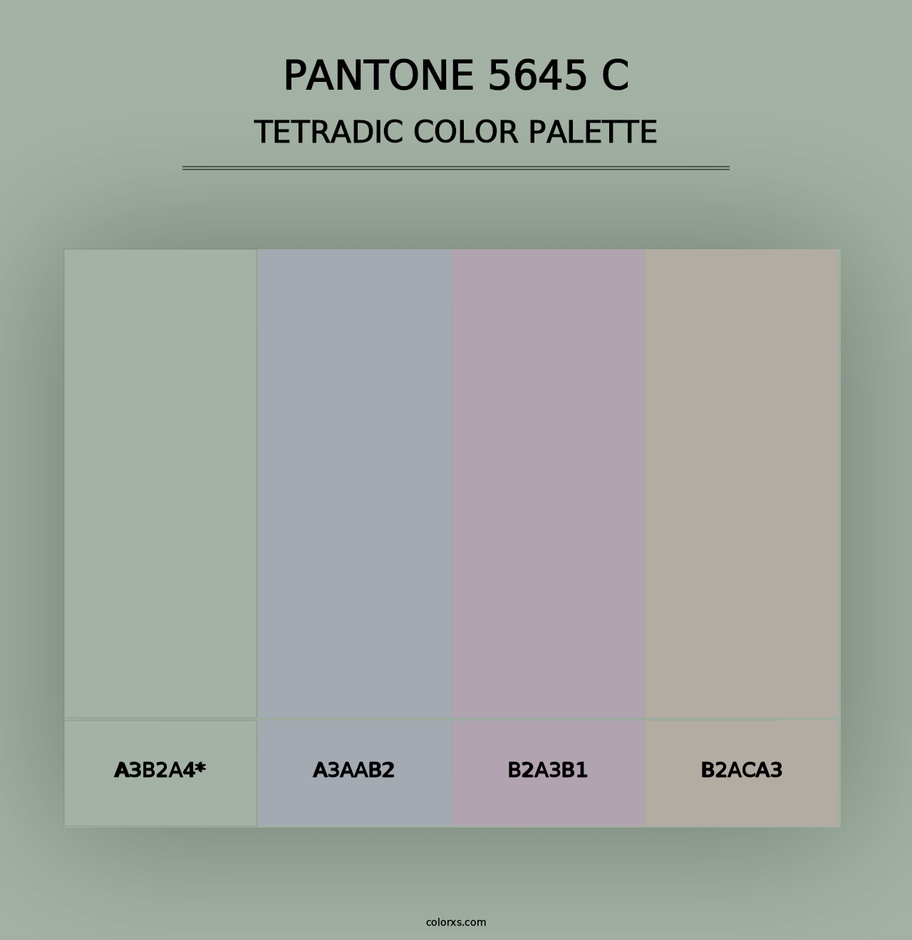 PANTONE 5645 C - Tetradic Color Palette