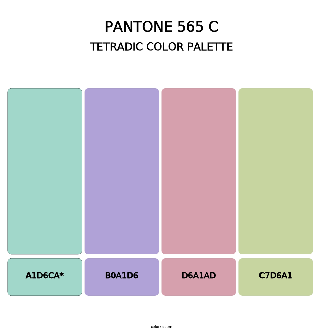 PANTONE 565 C - Tetradic Color Palette