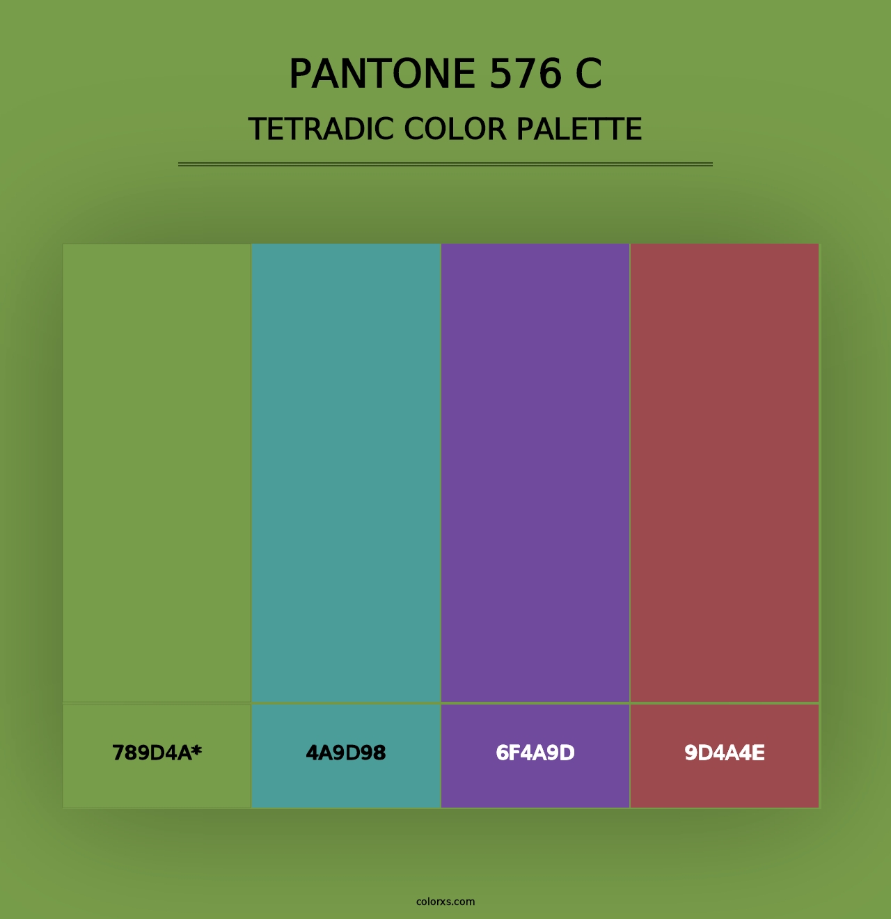 PANTONE 576 C - Tetradic Color Palette