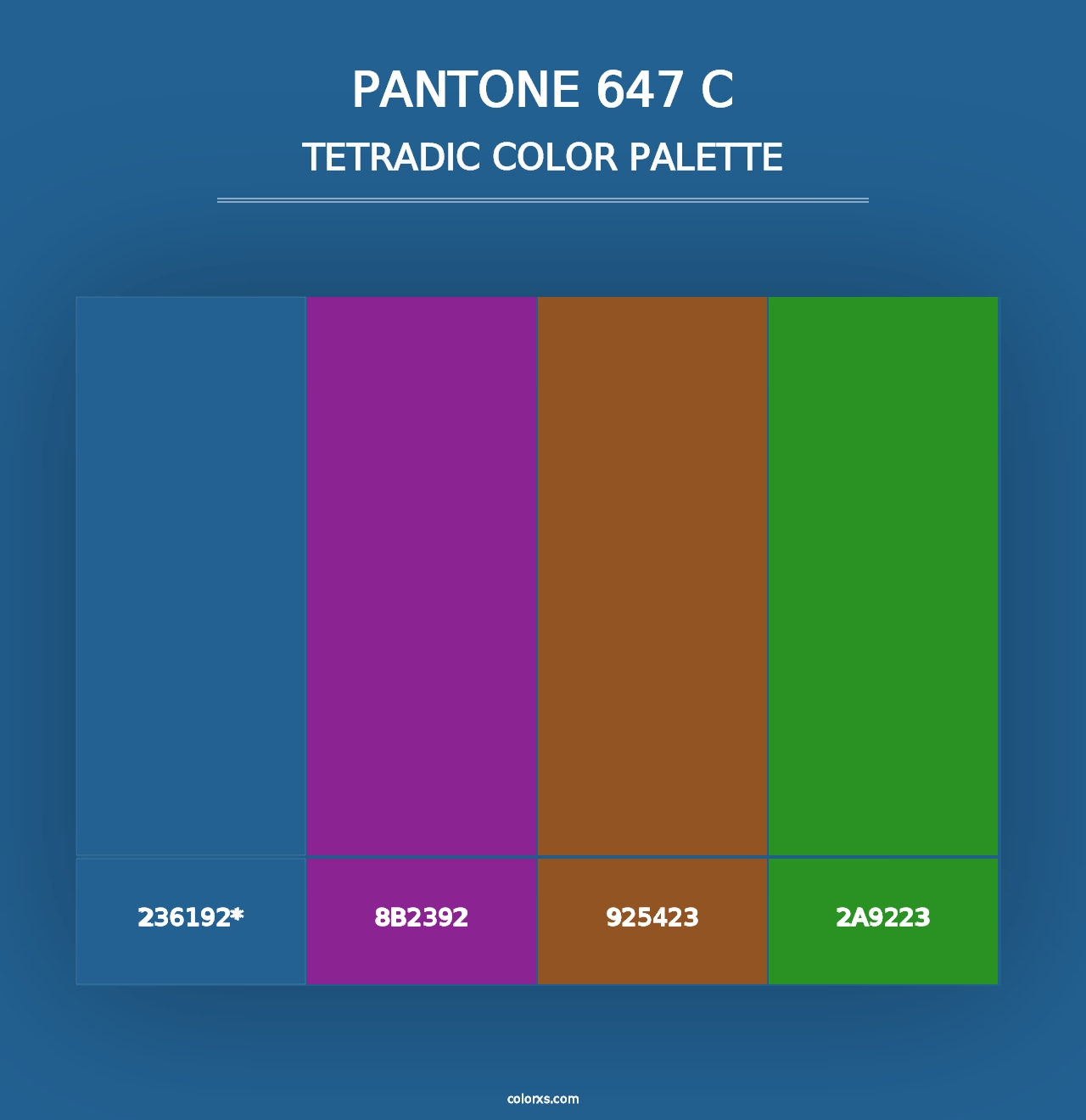 PANTONE 647 C - Tetradic Color Palette