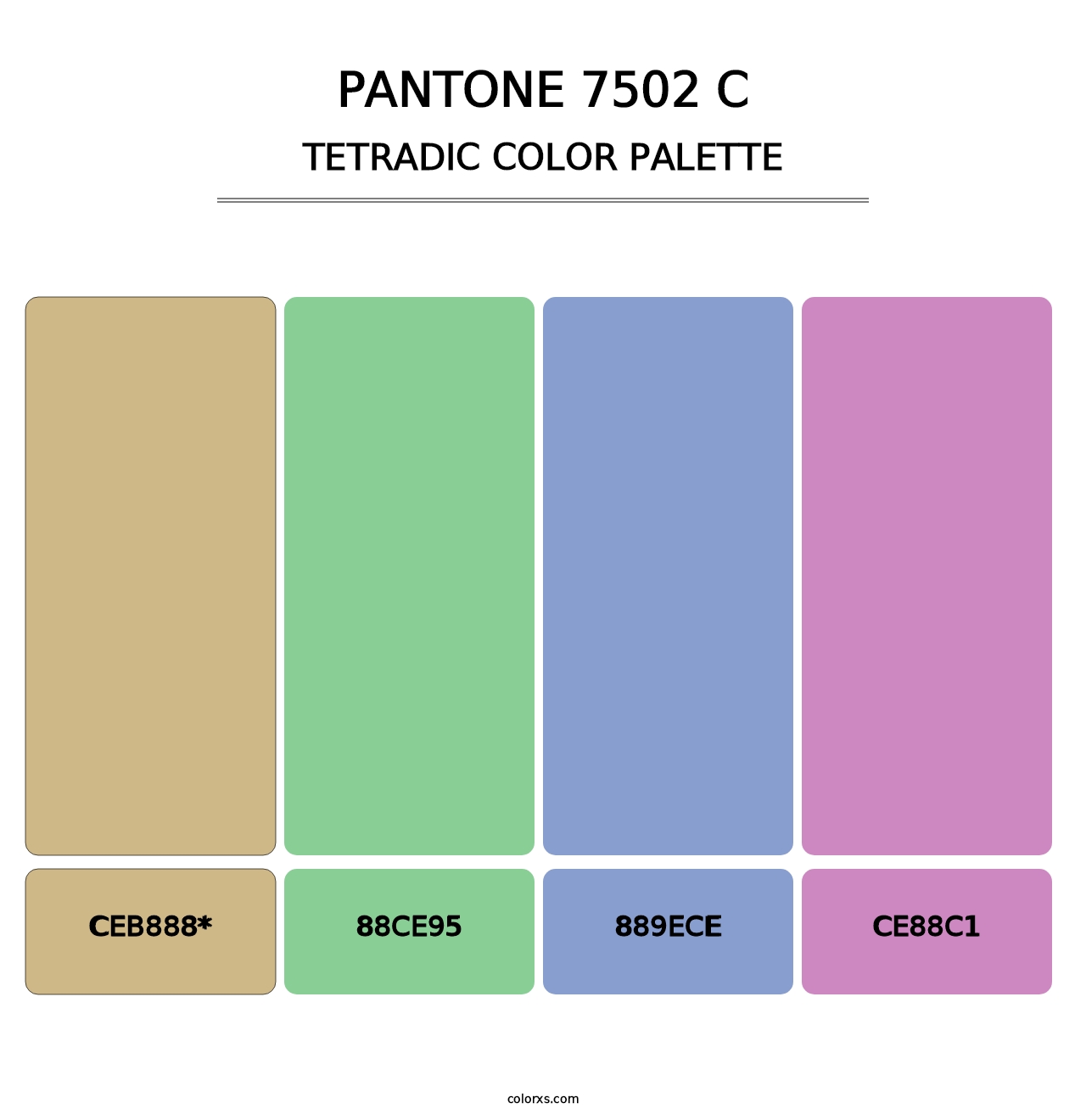 PANTONE 7502 C - Tetradic Color Palette