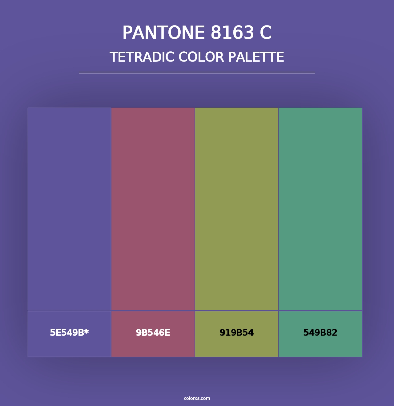 PANTONE 8163 C - Tetradic Color Palette