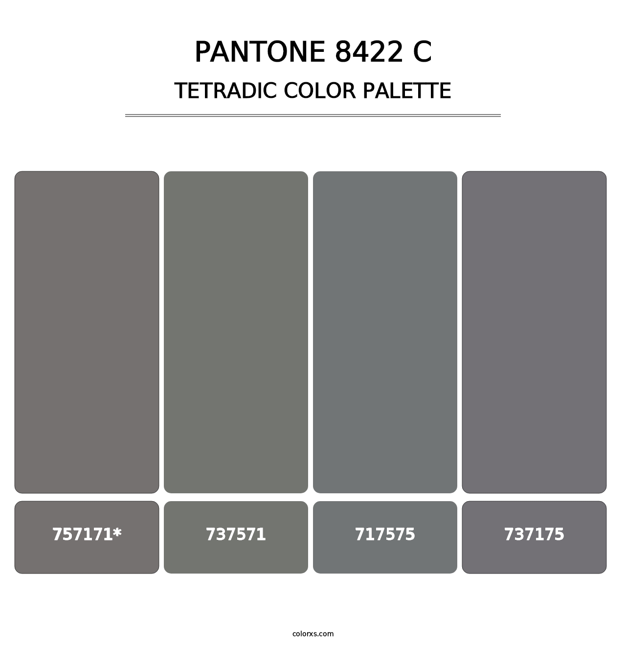 PANTONE 8422 C - Tetradic Color Palette