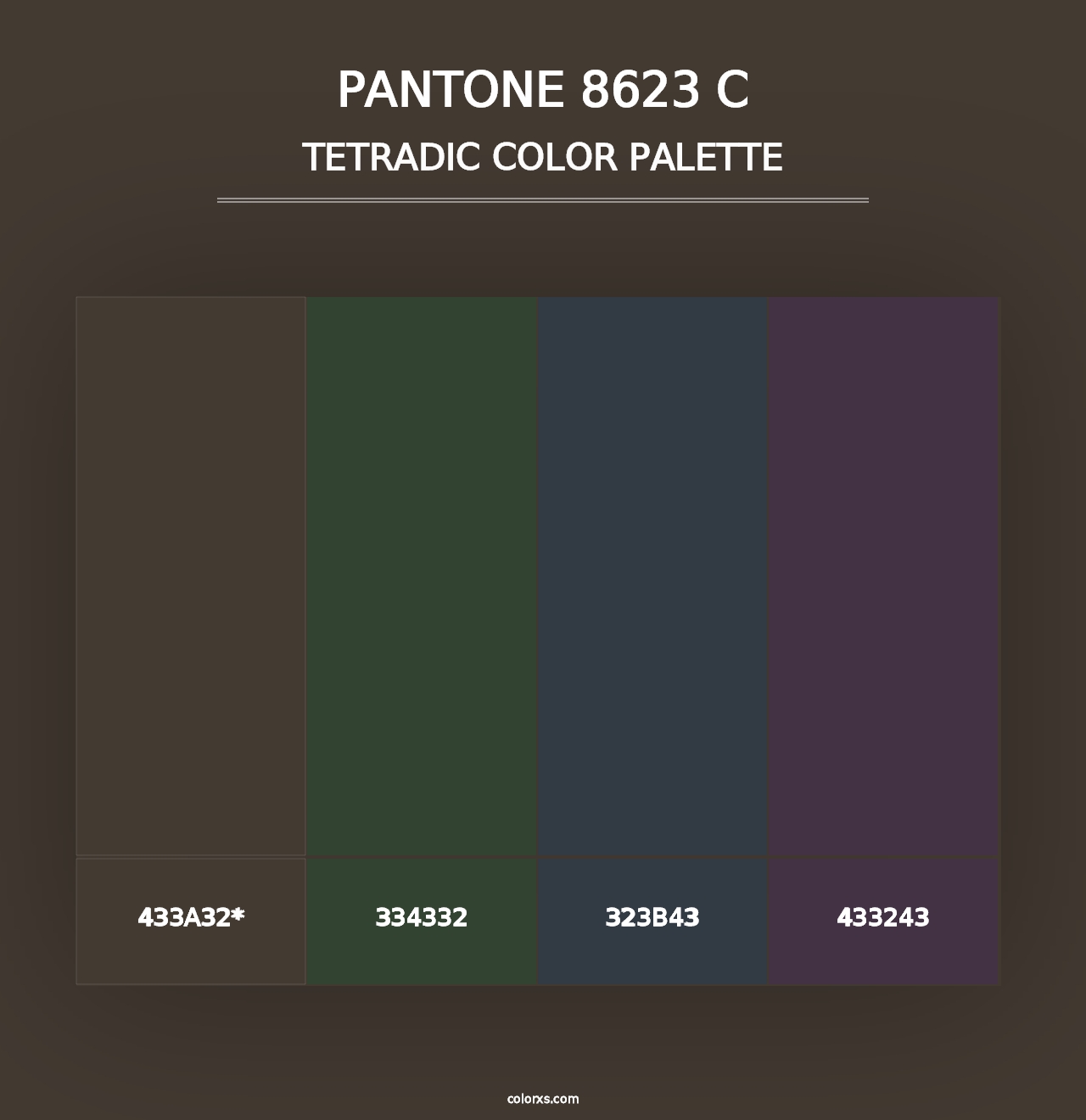 PANTONE 8623 C - Tetradic Color Palette