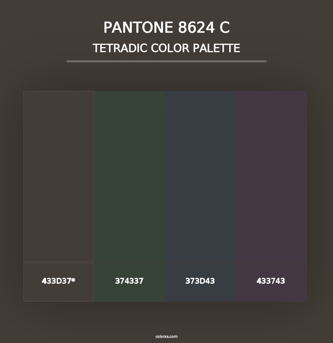 PANTONE 8624 C - Tetradic Color Palette