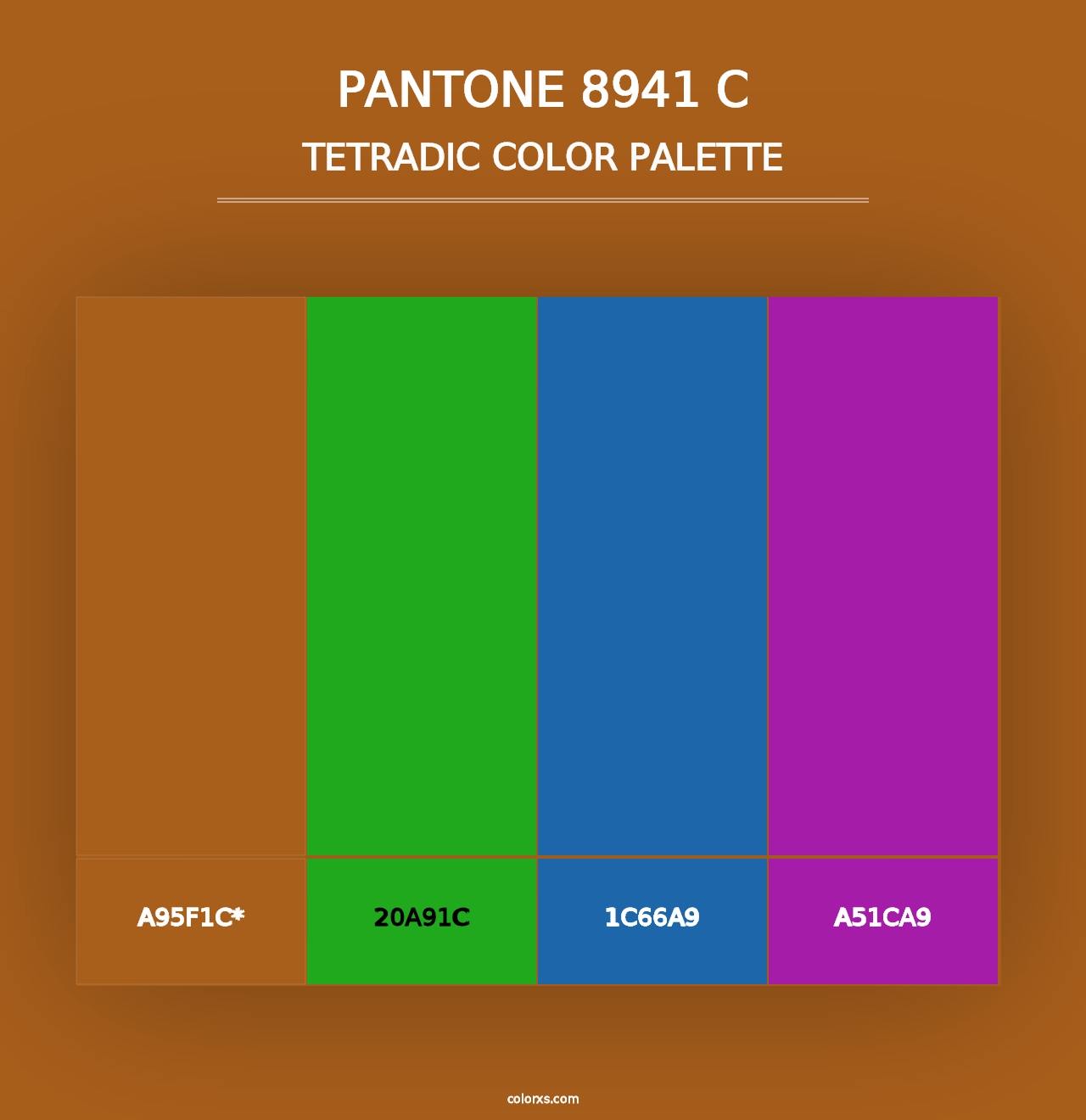 PANTONE 8941 C - Tetradic Color Palette