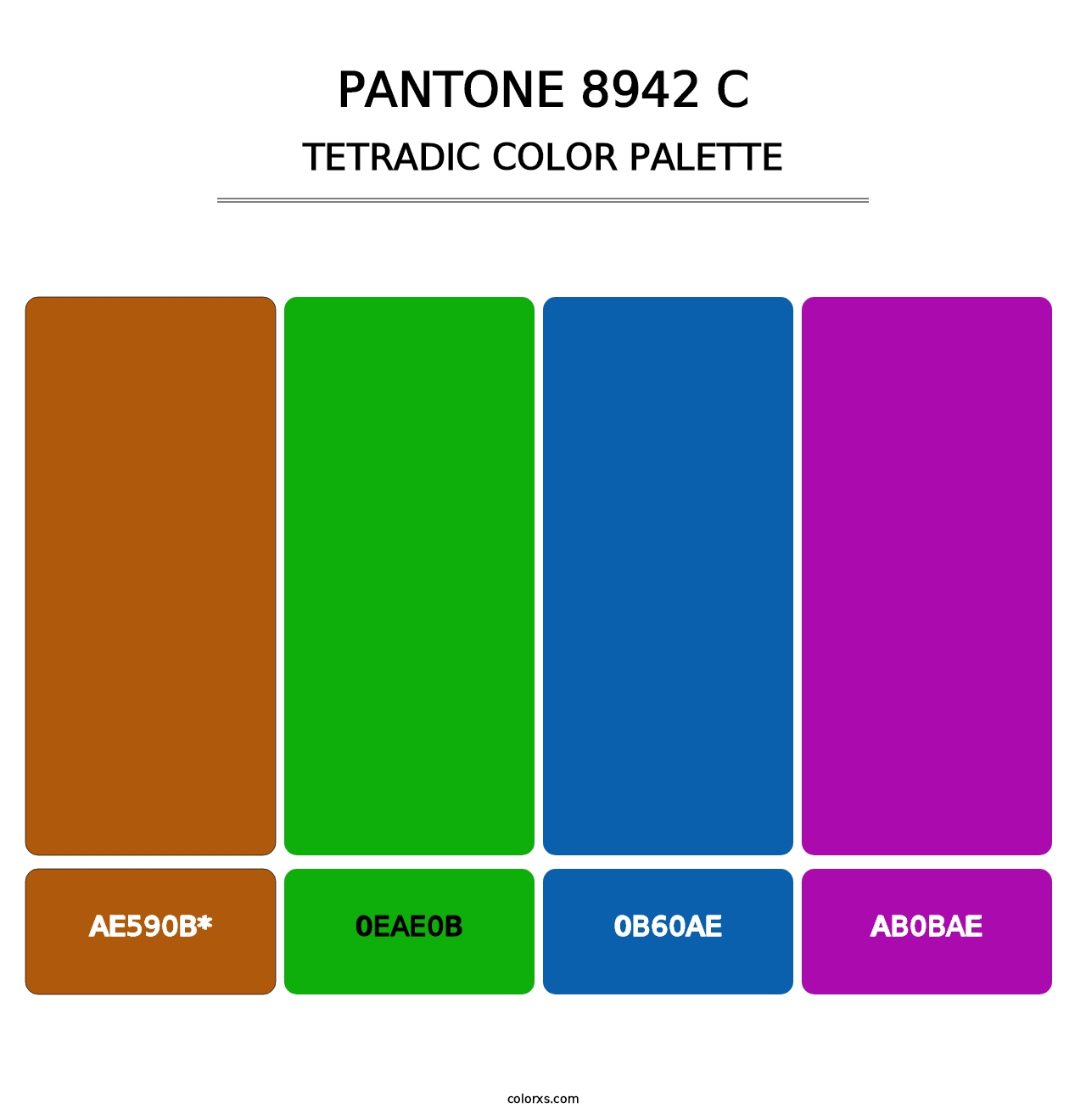 PANTONE 8942 C - Tetradic Color Palette