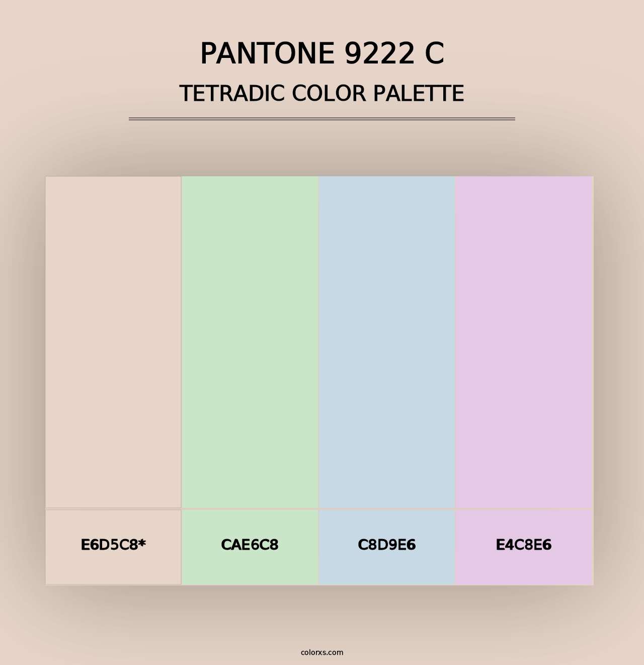 PANTONE 9222 C - Tetradic Color Palette