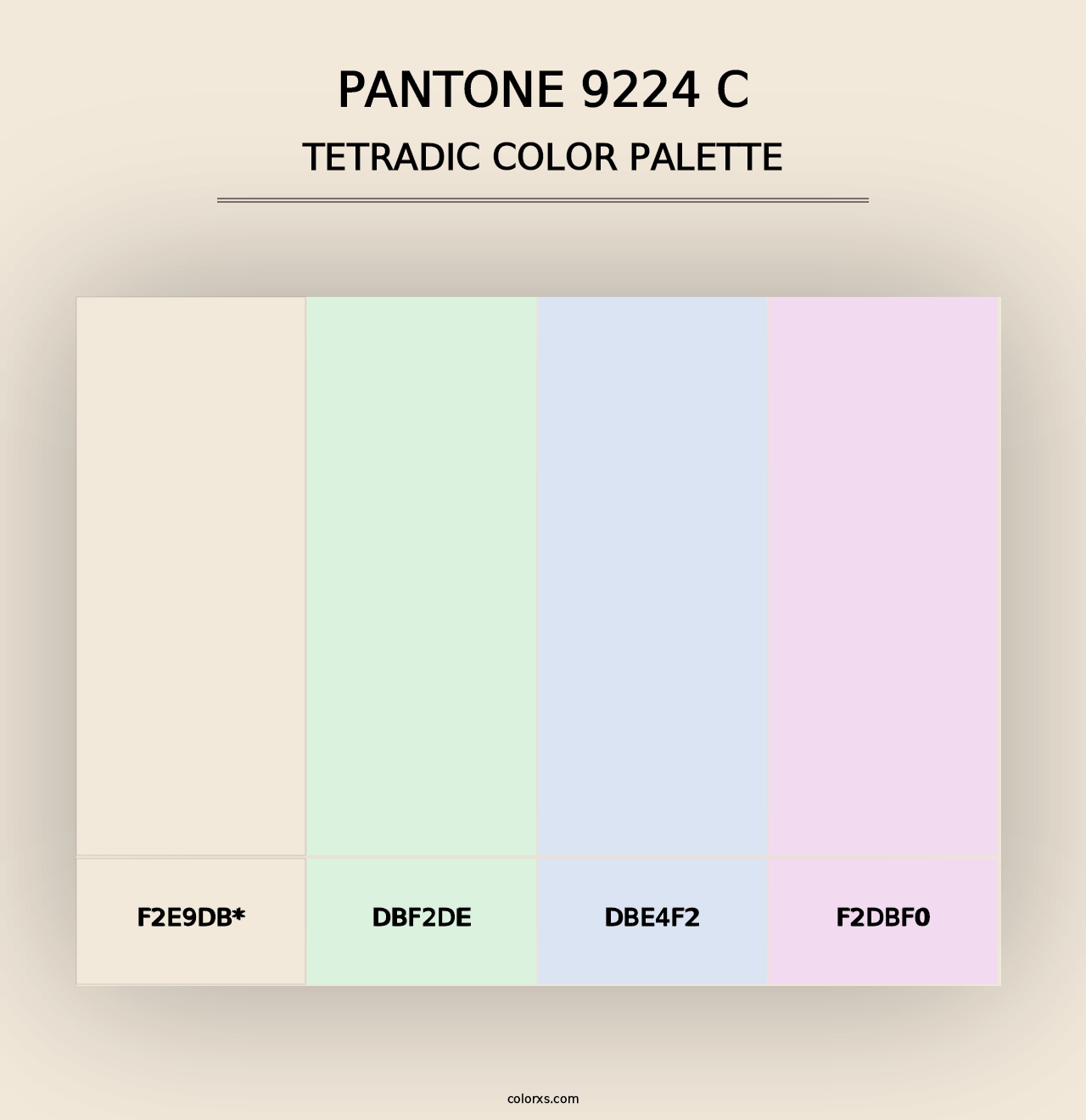 PANTONE 9224 C - Tetradic Color Palette