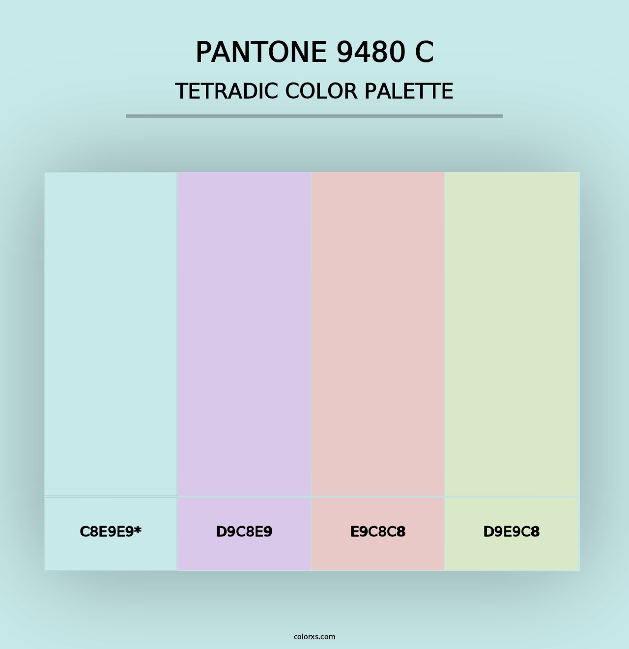 PANTONE 9480 C - Tetradic Color Palette