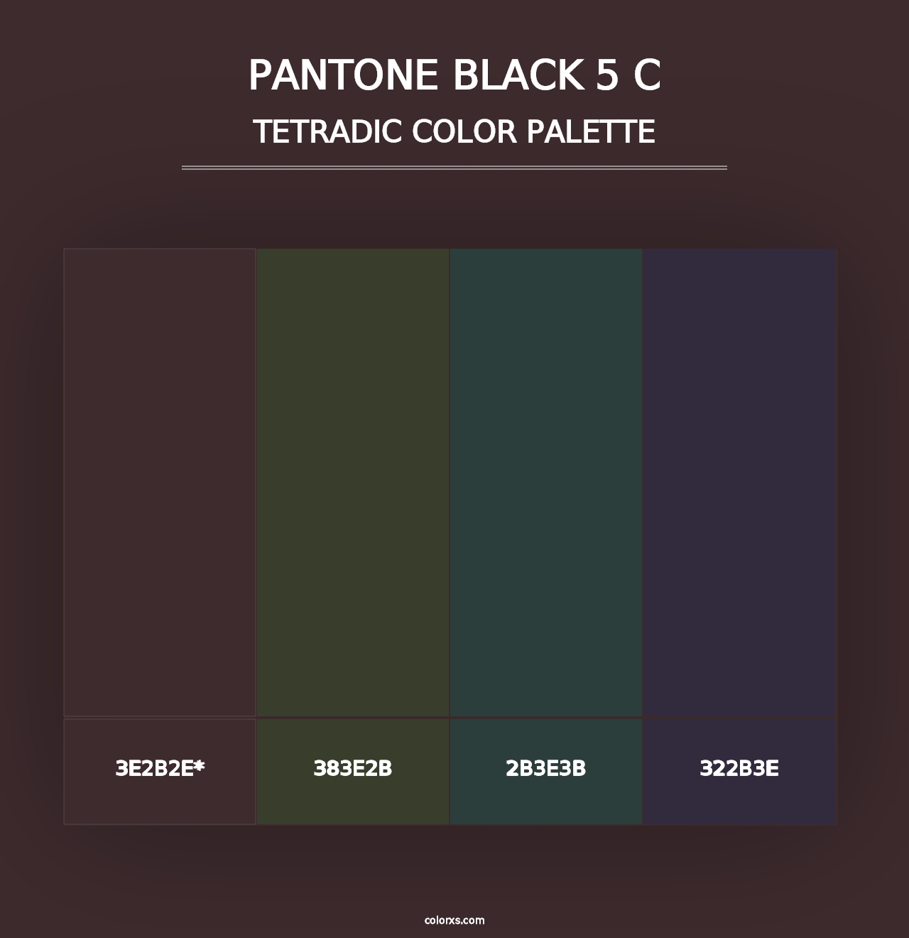 PANTONE Black 5 C - Tetradic Color Palette