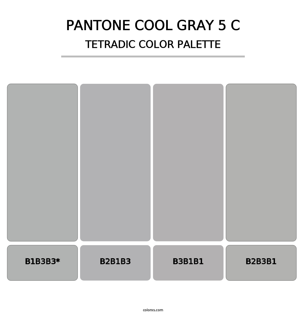 PANTONE Cool Gray 5 C - Tetradic Color Palette