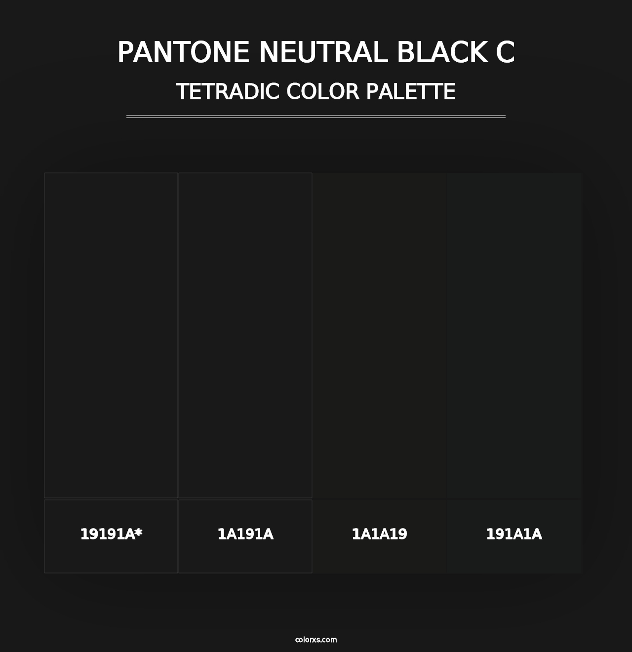 PANTONE Neutral Black C - Tetradic Color Palette