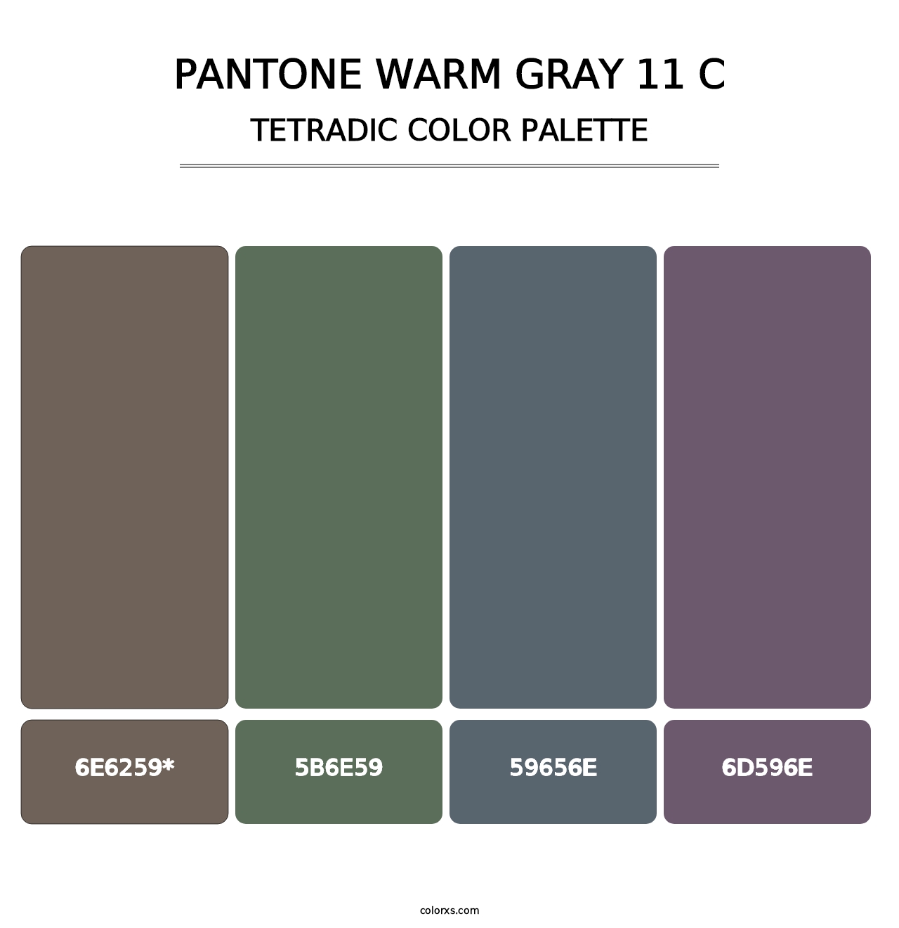 PANTONE Warm Gray 11 C - Tetradic Color Palette