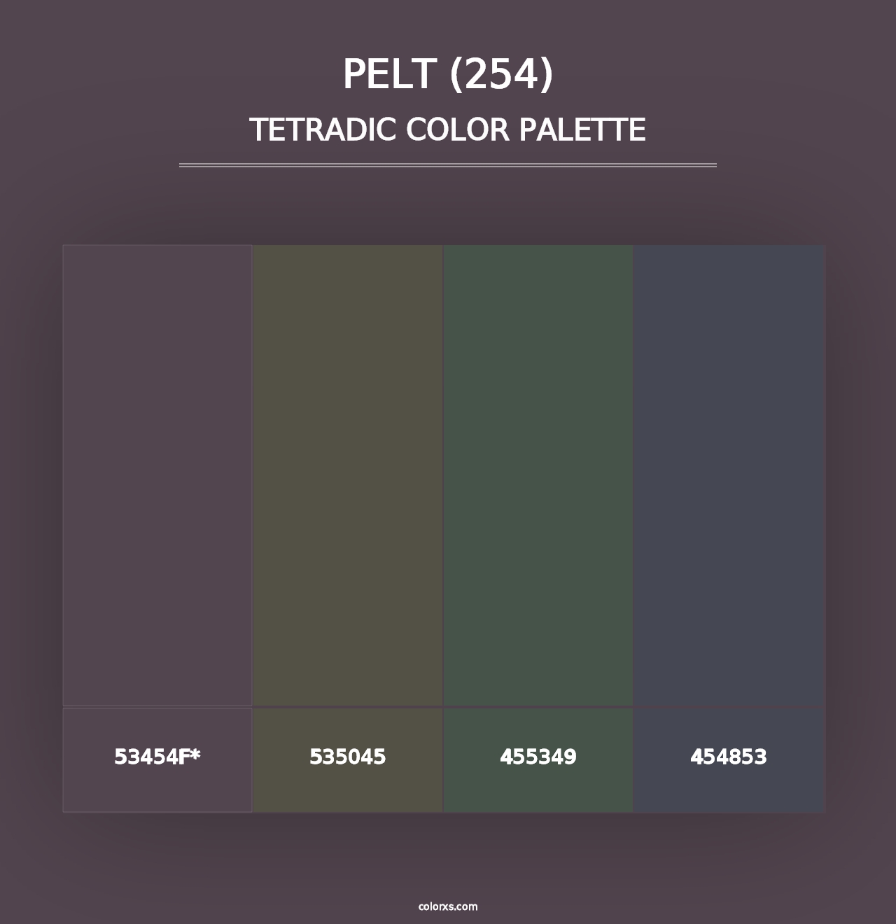 Pelt (254) - Tetradic Color Palette