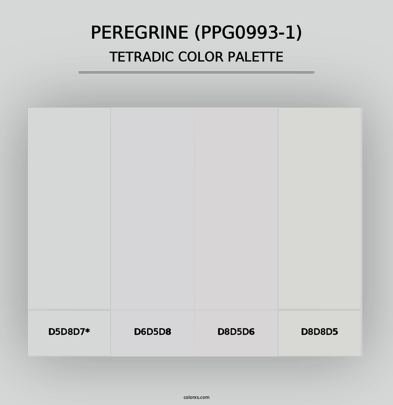 Peregrine (PPG0993-1) - Tetradic Color Palette