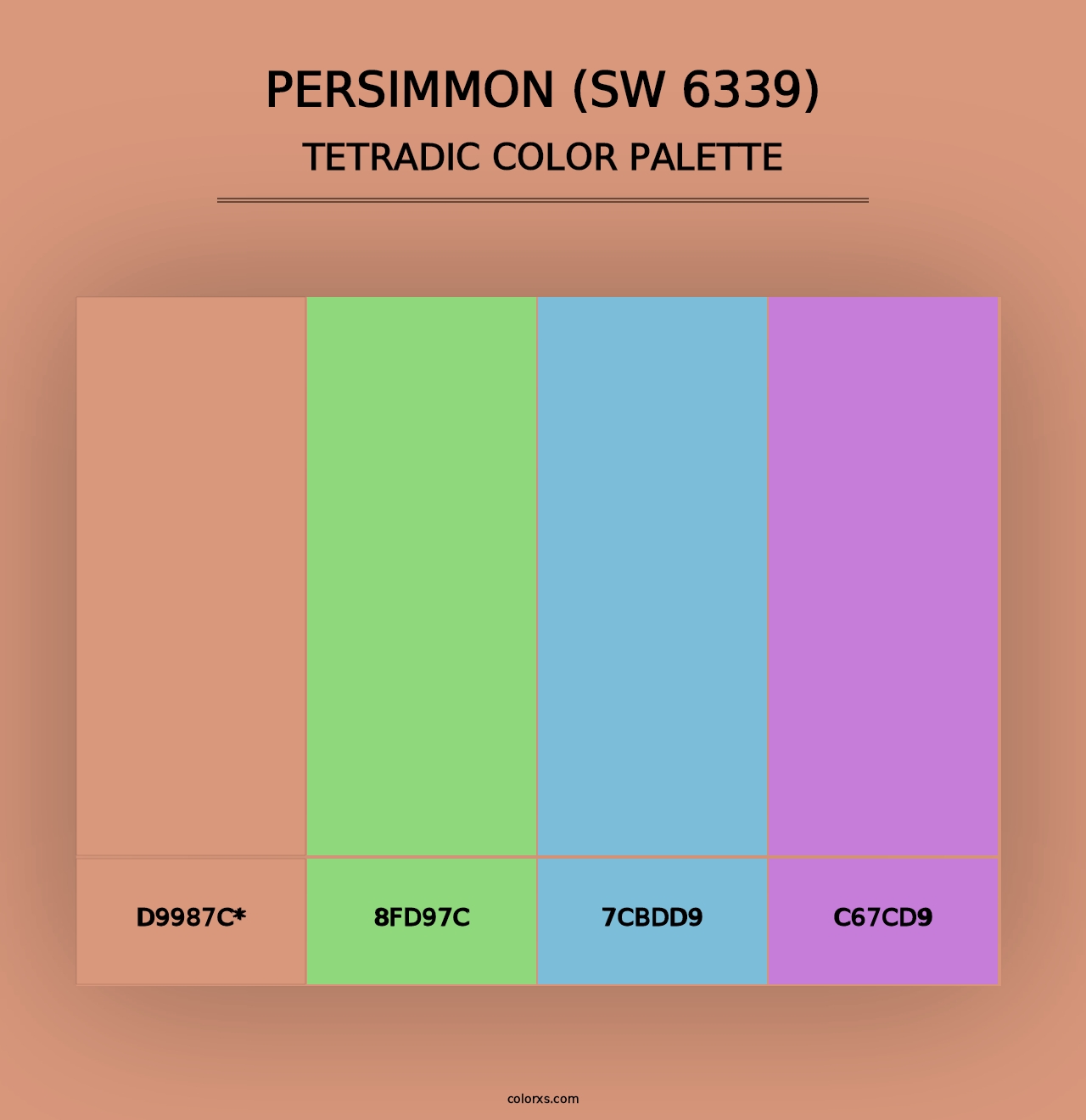 Persimmon (SW 6339) - Tetradic Color Palette