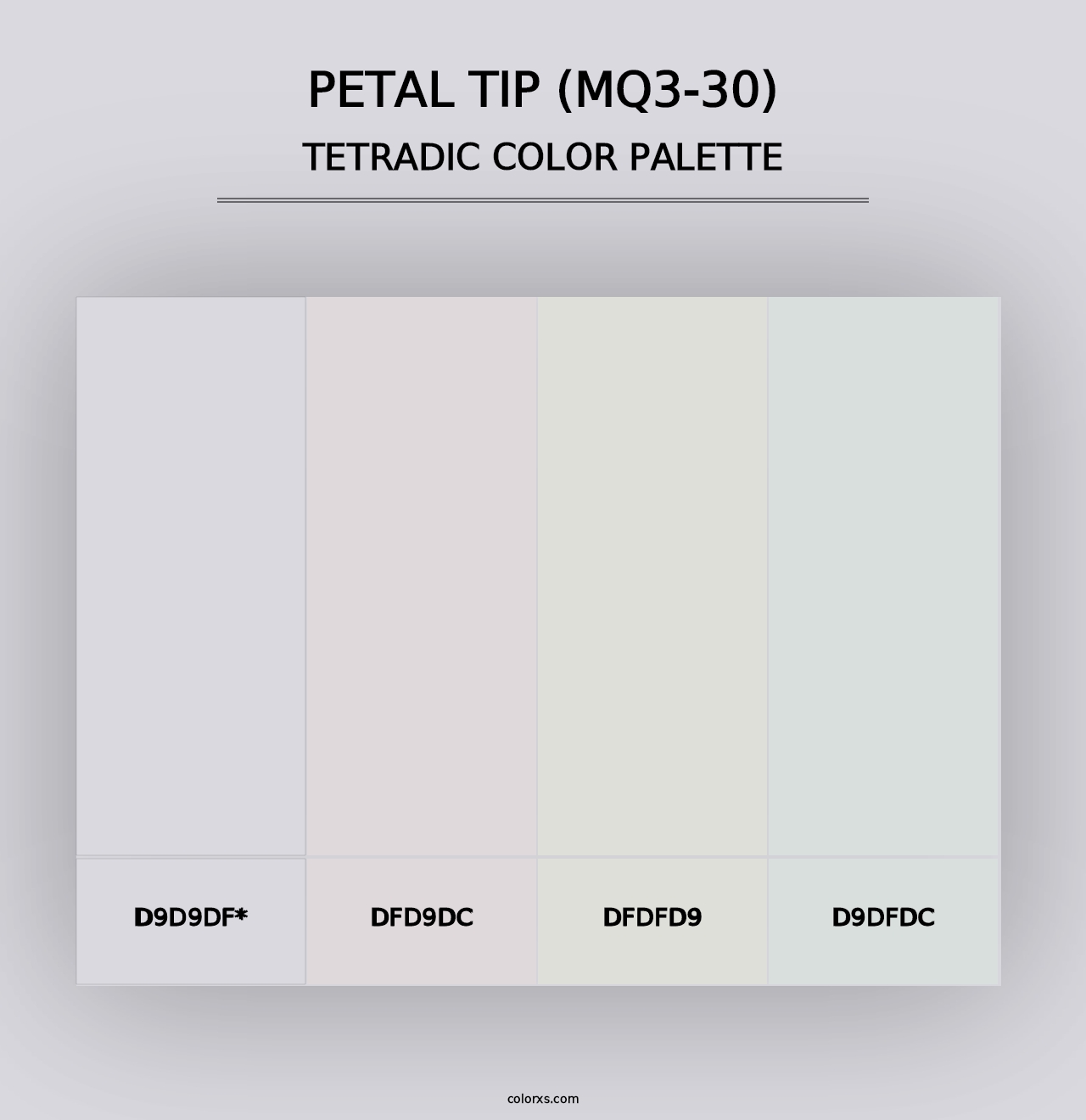 Petal Tip (MQ3-30) - Tetradic Color Palette