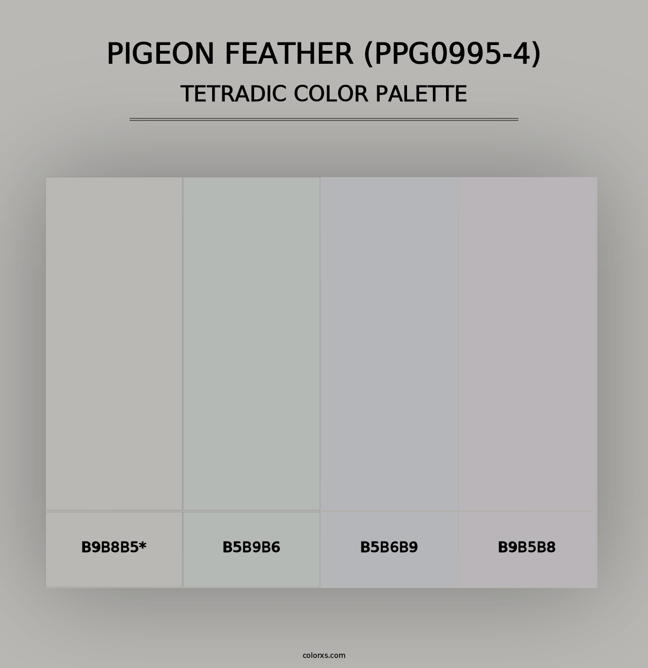 Pigeon Feather (PPG0995-4) - Tetradic Color Palette