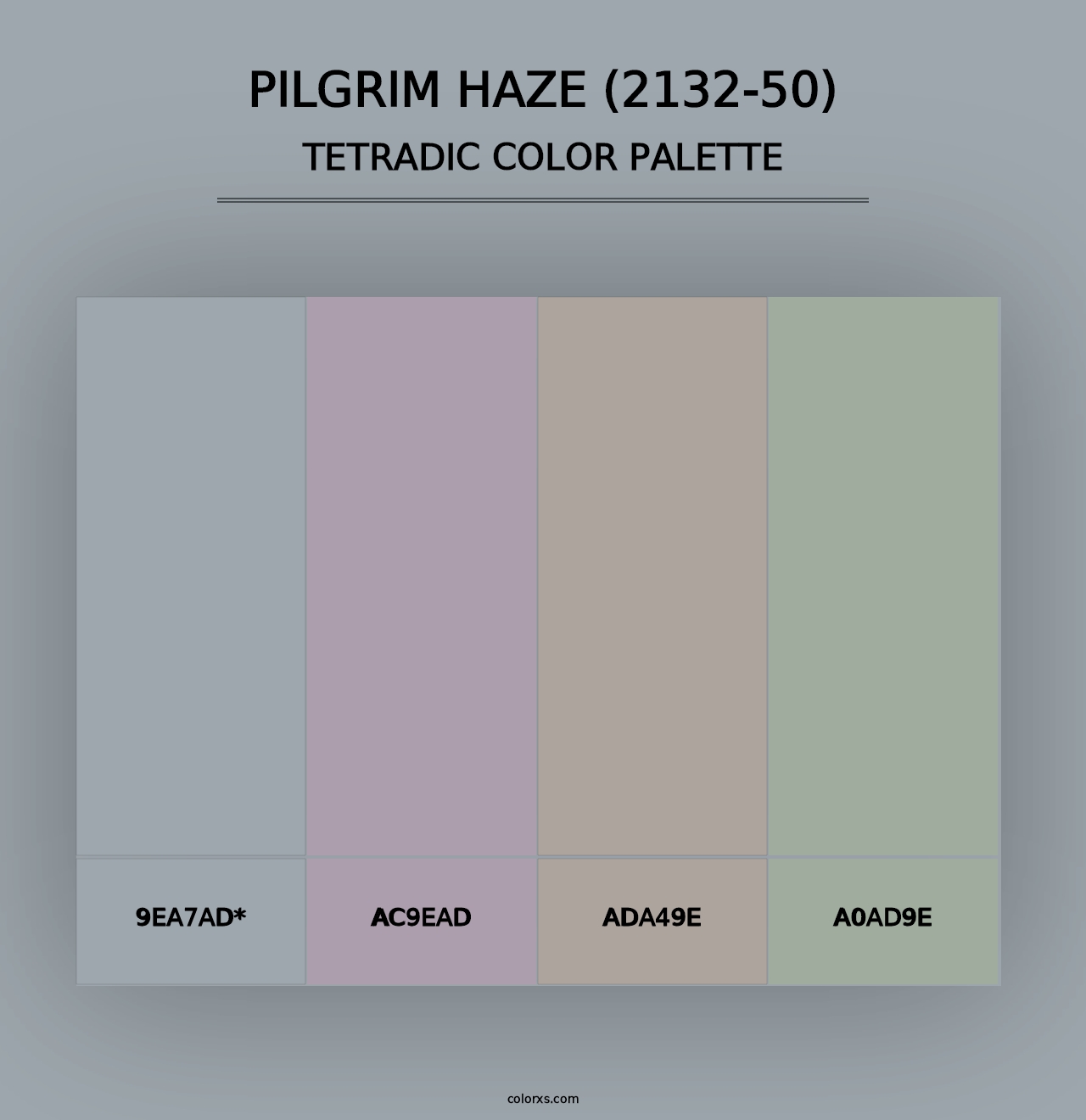 Pilgrim Haze (2132-50) - Tetradic Color Palette