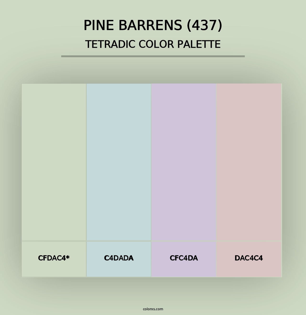 Pine Barrens (437) - Tetradic Color Palette