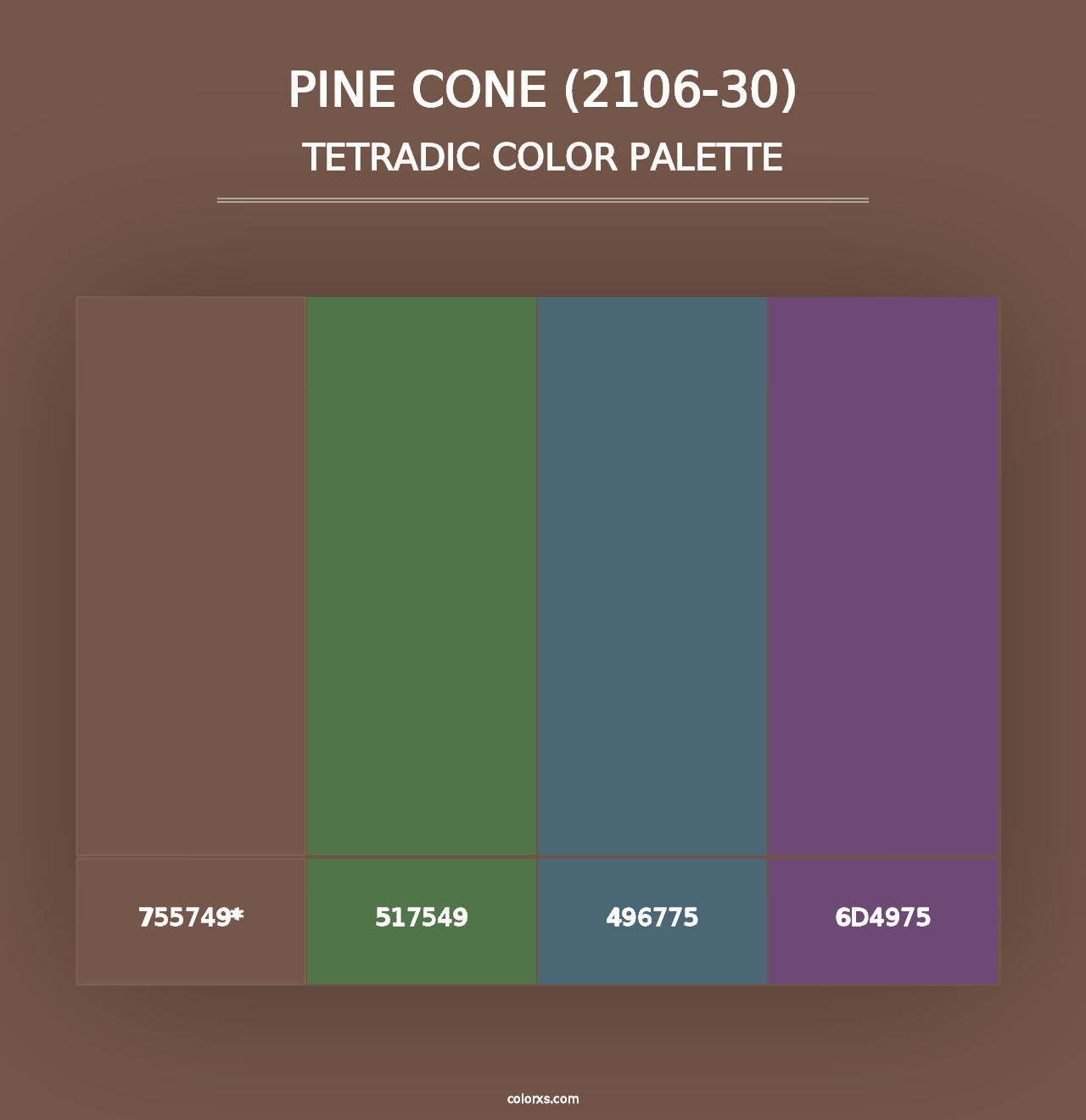 Pine Cone (2106-30) - Tetradic Color Palette